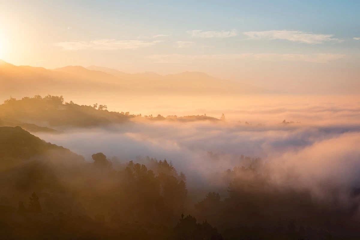 Circadian Rhythm & Sleep Health