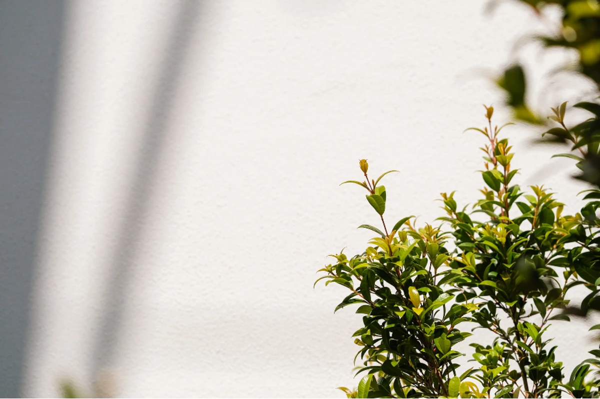 How To Deescalate & Reduce Levels Of Emotional Intensity