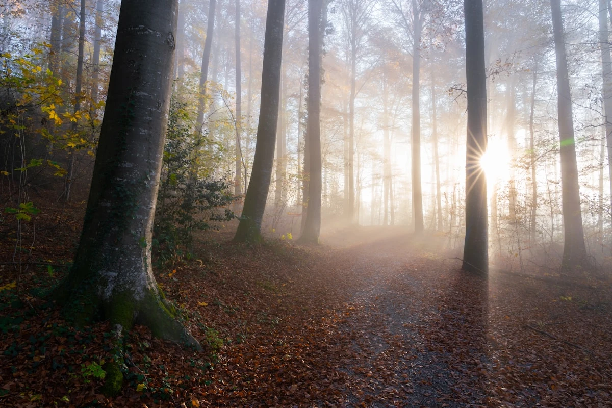 How To Engage Deeper With Your Emotions