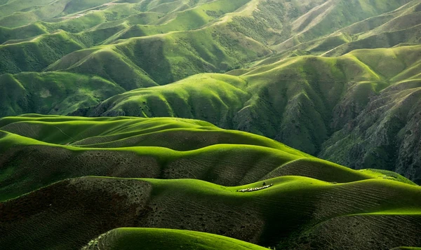 The Deep Connection Between Nature and the Psyche