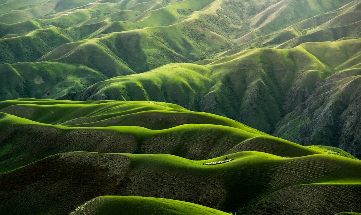The Deep Connection Between Nature and the Psyche
