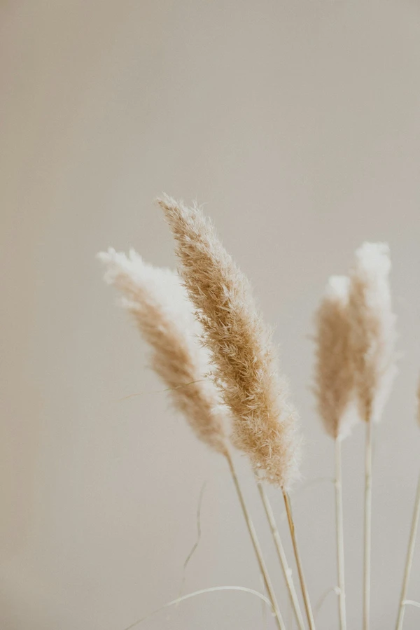 What Is Trauma-Informed Therapy?