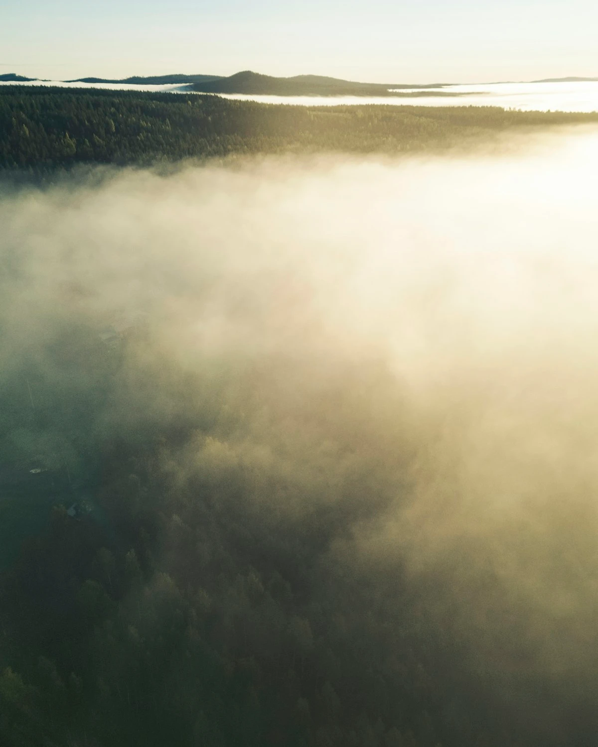 The Yamas and Niyamas: Foundations of Ethical Living and Emotional Well-Being