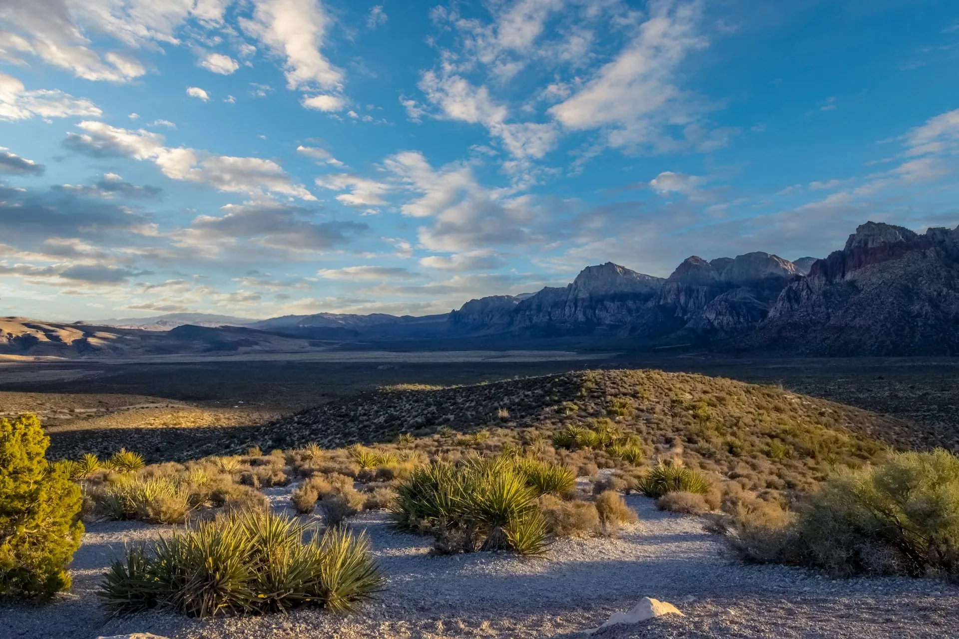 Red Rock Canyon National Conservation Area near Las Vegas, Nevada